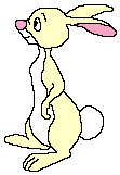 Rabbit Graphic