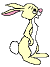 Rabbit Graphic